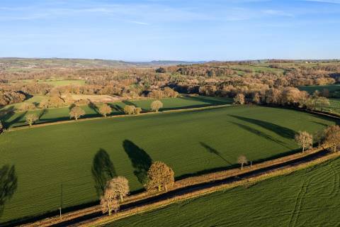 Property for auction in Somerset