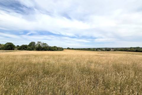 Property for auction in Wiltshire