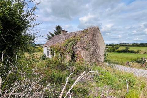 Property for auction in County Limerick