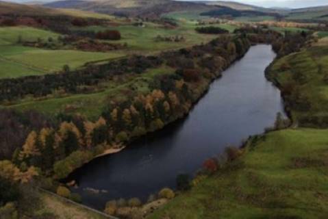 Property for auction in Angus