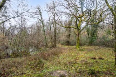 Property for auction in Devon