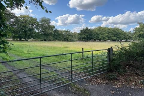 Property for auction in Norfolk