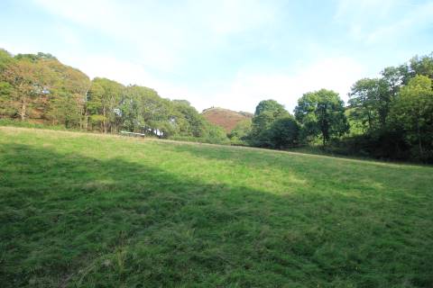 Property for auction in Clwyd