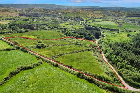 Property for auction in County Clare
