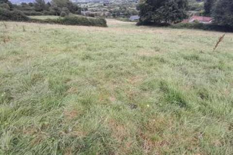 Property for auction in Somerset
