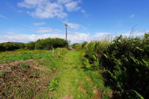 Property for auction in Cornwall