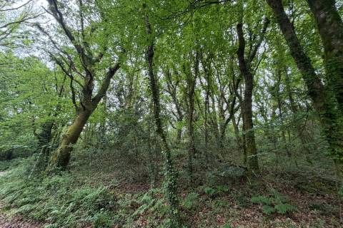 Property for auction in Cornwall