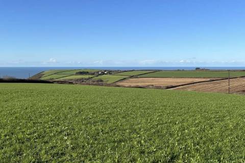 Property for auction in Cornwall