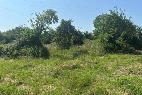 Property for auction in Somerset