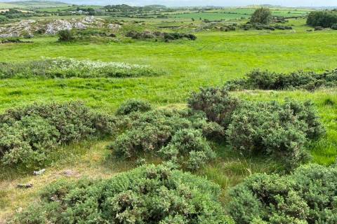 Property for auction in Gwynedd