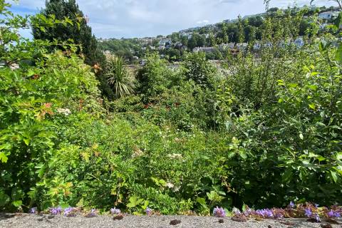 Property for auction in Cornwall