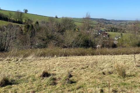 Property for auction in Devon