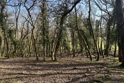 Property for auction in Dyfed