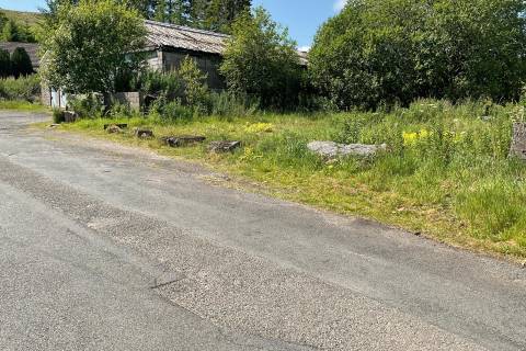 Property for auction in Cumbria