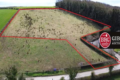 Property for auction in County Tyrone