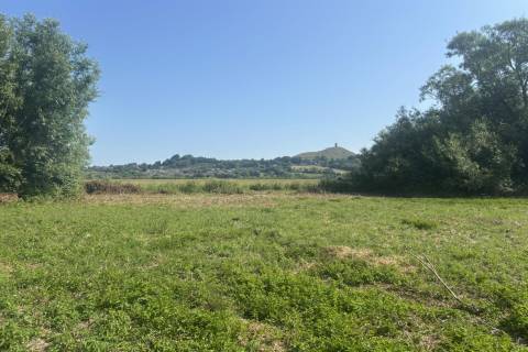 Property for auction in Somerset