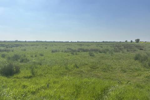 Property for auction in Somerset
