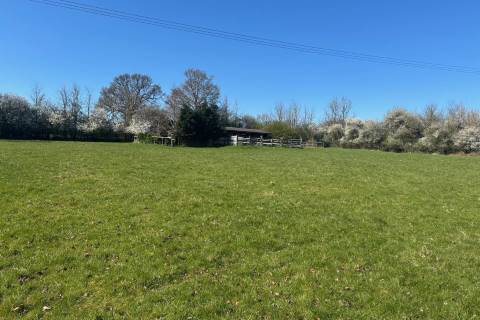Property for auction in Dorset