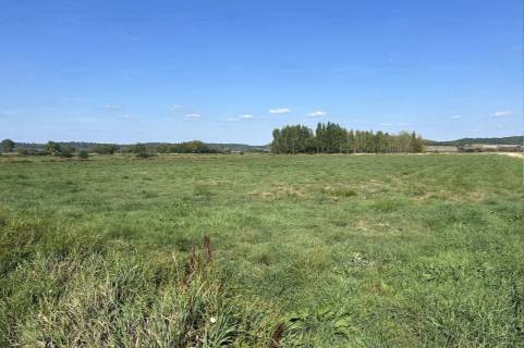 Property for auction in Somerset