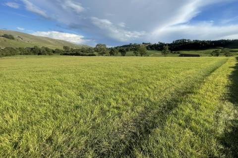 Property for auction in Derbyshire