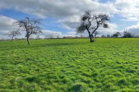 Property for auction in Somerset