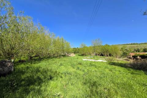 Property for auction in Wiltshire