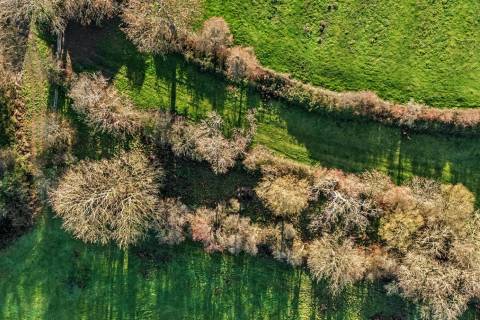 Property for auction in Oxfordshire