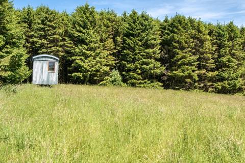 Property for auction in Devon