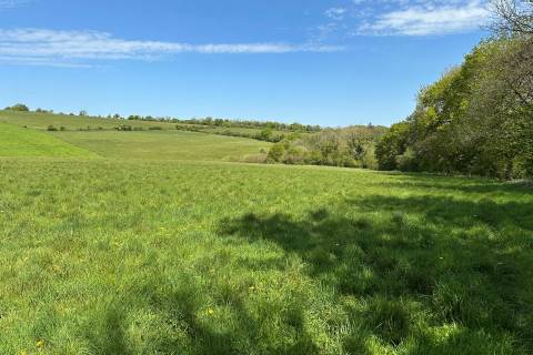 Property for auction in Dorset