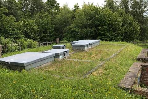 Property for auction in Perthshire