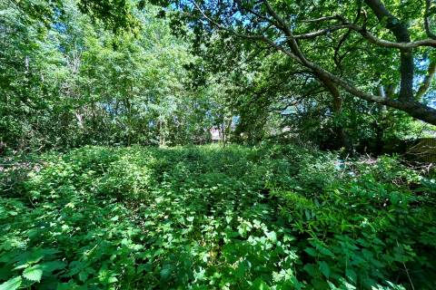 Property for auction in Dorset