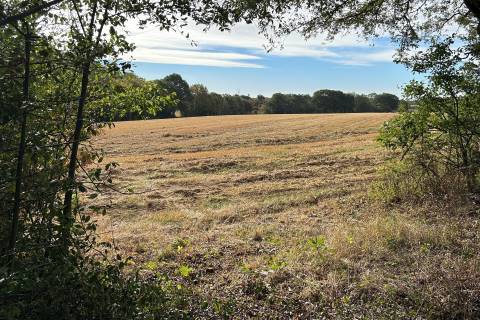 Property for auction in Essex