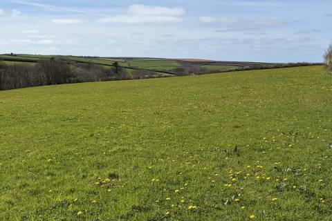 Property for auction in Cornwall