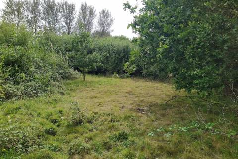 Property for auction in Suffolk