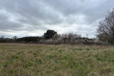 Property for auction in Norfolk