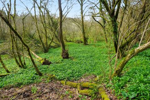 Property for auction in Cornwall