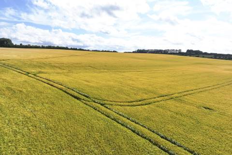 Property for auction in Kent