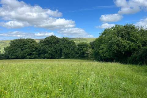 Property for auction in Devon