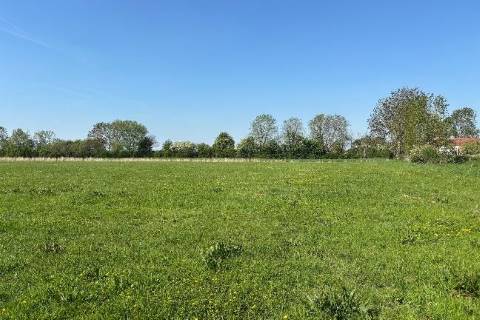 Property for auction in Somerset