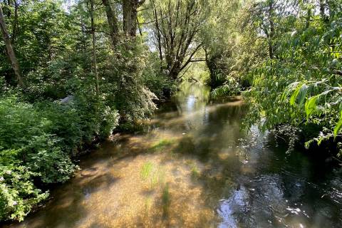Property for auction in Wiltshire