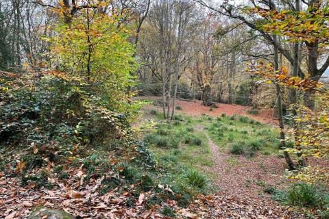 Property for auction in Kent