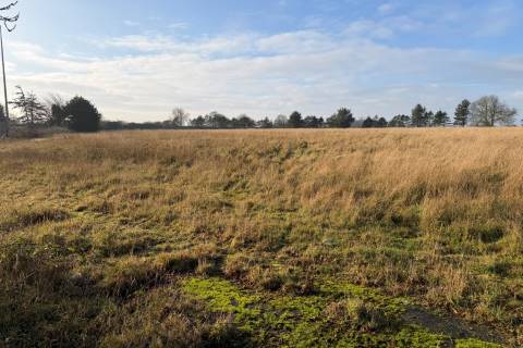 Property for auction in Norfolk