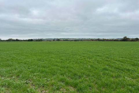 Property for auction in Somerset