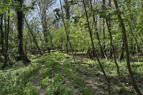 Property for auction in Wiltshire