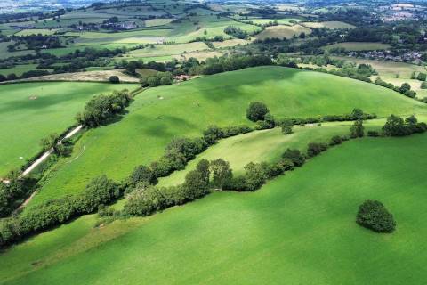 Property for auction in Somerset