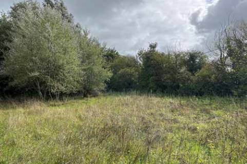 Property for auction in Dorset