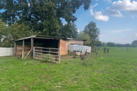 Property for auction in Somerset
