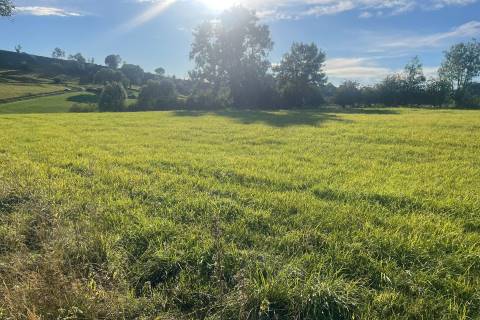 Property for auction in Derbyshire