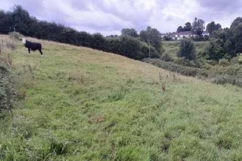 Property for auction in Somerset