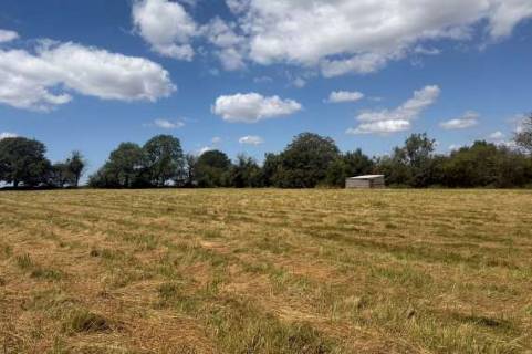 Property for auction in Somerset